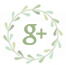 google plus